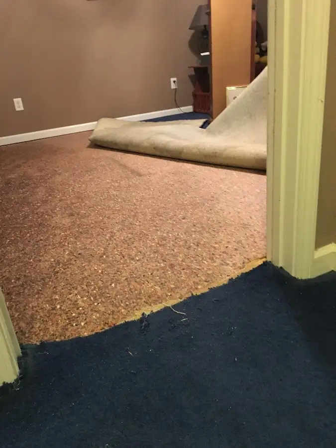 Carpet pad removal revealing water damage during Drying & Dehumidification in Mexico