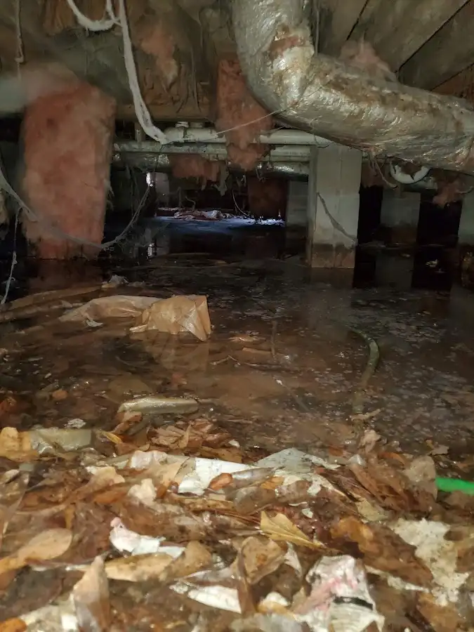 Crawl space flood assessment for Leak Detection & Repair in Mexico